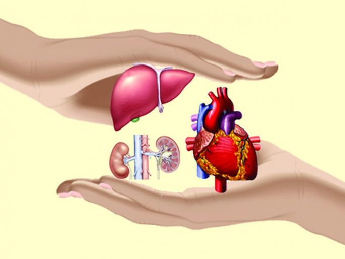National Organ Donation Day 5 thousand people wait for kidney donation 1284 patients need a liver, while 108 need a heart | राष्ट्रीय अवयवदान दिन: ५ हजार लोकांना किडनीदानाची प्रतीक्षा; १,२८४ रुग्ण लिव्हर, तर १०८ जणांना हवंय हृदय National Organ Donation Day 5 thousand people wait for kidney donation 1284 patients need a liver, while 108 need a heart | राष्ट्रीय अवयवदान दिन: ५ हजार लोकांना किडनीदानाची प्रतीक्षा; १,२८४ रुग्ण लिव्हर, तर १०८ जणांना हवंय हृदय