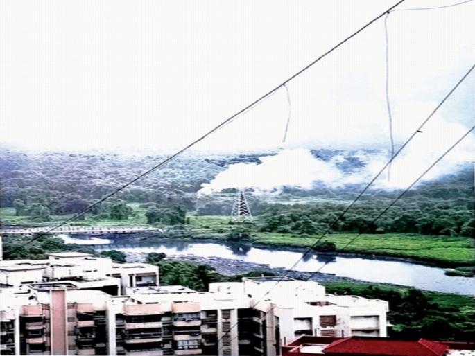 Slaughter of Tiwars by setting fire in Malad; Type of arson by social activists, demand for action | मालाडमध्ये आग लावून तिवरांची कत्तल; समाजकंटकांकडून आगी लावण्याचा प्रकार, कारवाईची मागणी Slaughter of Tiwars by setting fire in Malad; Type of arson by social activists, demand for action | मालाडमध्ये आग लावून तिवरांची कत्तल; समाजकंटकांकडून आगी लावण्याचा प्रकार, कारवाईची मागणी