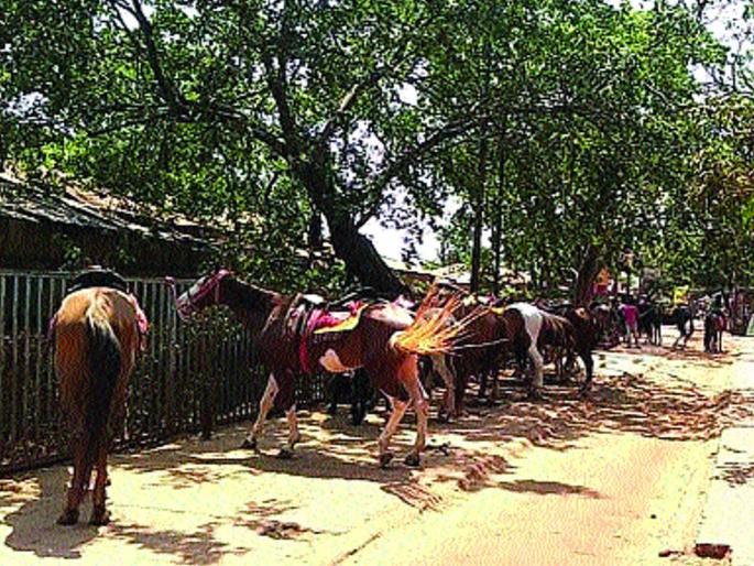 Coronavirus: Tourist ban in Matheran until March 31 | Coronavirus : माथेरानमध्ये ३१ मार्चपर्यंत पर्यटकांना बंदी Coronavirus: Tourist ban in Matheran until March 31 | Coronavirus : माथेरानमध्ये ३१ मार्चपर्यंत पर्यटकांना बंदी