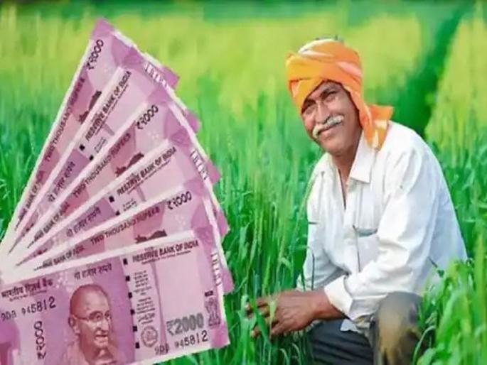 Crop insurance scheme that cheats farmers exposed | शेतकऱ्यांना चुना लावणाऱ्या पीक विमा योजनांचा पर्दाफाश Crop insurance scheme that cheats farmers exposed | शेतकऱ्यांना चुना लावणाऱ्या पीक विमा योजनांचा पर्दाफाश