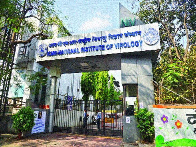 Coronavirus: 'Corona' Confirmed at NIV in Pune | Coronavirus : पुण्यातील एनआयव्हीमध्ये ‘कोरोना’वर होते अंतिम शिक्कामोर्तब Coronavirus: 'Corona' Confirmed at NIV in Pune | Coronavirus : पुण्यातील एनआयव्हीमध्ये ‘कोरोना’वर होते अंतिम शिक्कामोर्तब