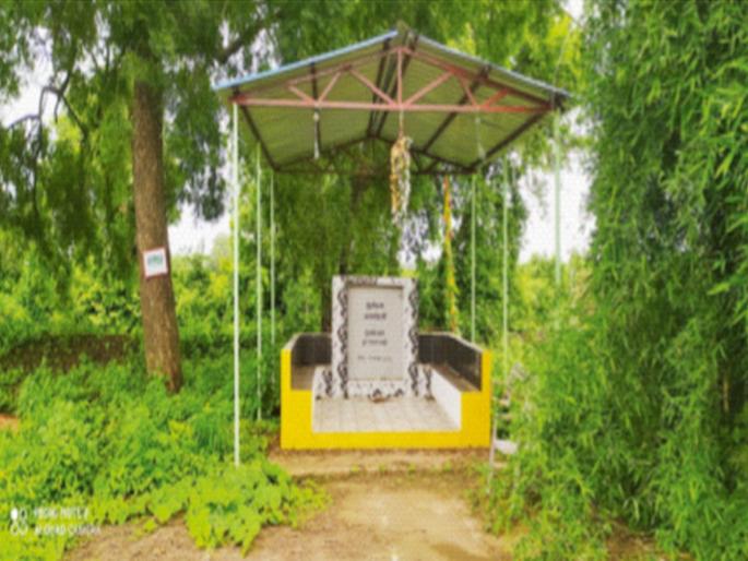 The birds stopped chirping | पक्ष्यांचा किलबिलाट थांबला The birds stopped chirping | पक्ष्यांचा किलबिलाट थांबला