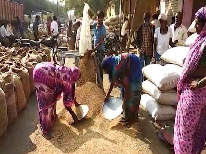 Minimum Support Prices minimum guaranteed price Even if there is a law to guaranteed price, it is difficult to implement | हमीभावाचा गुंता! हमीभाव देण्याचा कायदा केला तरी त्याची अंमलबजावणी करणे अवघड... Minimum Support Prices minimum guaranteed price Even if there is a law to guaranteed price, it is difficult to implement | हमीभावाचा गुंता! हमीभाव देण्याचा कायदा केला तरी त्याची अंमलबजावणी करणे अवघड...