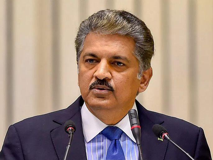 Anand mahindra tweet with this photo and asks who is the expert here | प्रसिद्ध उद्योगपती आनंद महिंद्रा यांच्या कॉफीच्या मळ्यात वाघीण?; फोटो शेअर करत मागितली मदत! Anand mahindra tweet with this photo and asks who is the expert here | प्रसिद्ध उद्योगपती आनंद महिंद्रा यांच्या कॉफीच्या मळ्यात वाघीण?; फोटो शेअर करत मागितली मदत!