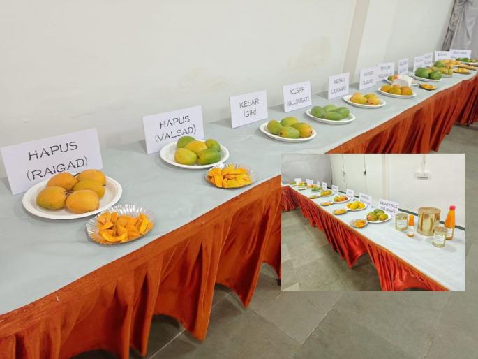 Monsoon Mango Festival was organized by 'Sri Foods' in Andheri | 'श्री फुड्स' ने अंधेरीत आयोजित केला होता मान्सून मँगो महोत्सव Monsoon Mango Festival was organized by 'Sri Foods' in Andheri | 'श्री फुड्स' ने अंधेरीत आयोजित केला होता मान्सून मँगो महोत्सव