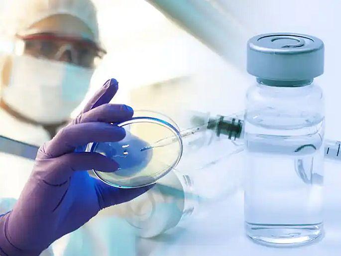 CoronaVirus Antibody cocktail used to treat covid 19 is now available in india | आता कोरोनावरील उपचारासाठी ‘अँटीबॉडी कॉकटेल’ भारतातही उपलब्ध, एका डोसची किंमत 59,750 रुपये CoronaVirus Antibody cocktail used to treat covid 19 is now available in india | आता कोरोनावरील उपचारासाठी ‘अँटीबॉडी कॉकटेल’ भारतातही उपलब्ध, एका डोसची किंमत 59,750 रुपये
