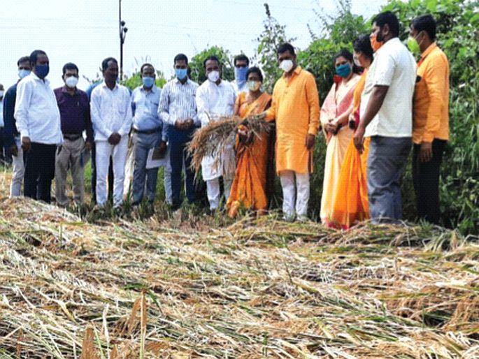 Farmers should not have any problem in getting crop insurance - Shrirang Barne | शेतकऱ्यांना पीक विमा मिळण्यात अडचण नको - श्रीरंग बारणे Farmers should not have any problem in getting crop insurance - Shrirang Barne | शेतकऱ्यांना पीक विमा मिळण्यात अडचण नको - श्रीरंग बारणे