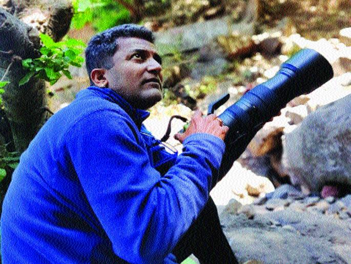 ... discovers a new species of cat snake | ...अन् लागला मांजऱ्या सापाच्या नव्या प्रजातीचा शोध ... discovers a new species of cat snake | ...अन् लागला मांजऱ्या सापाच्या नव्या प्रजातीचा शोध