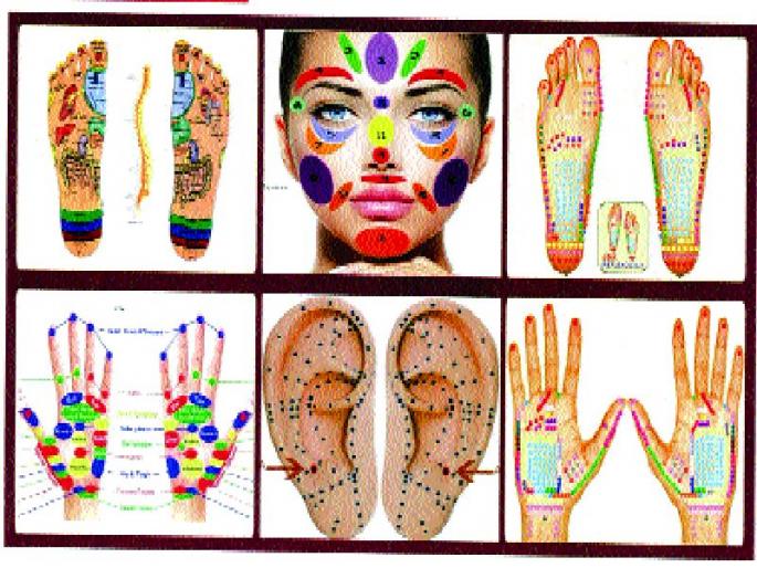 The Maha Kumbha of therapeutic theology in the whole country, International Reflexology Week from September 18 | संपूर्ण देशात चालणार चिकित्सेचा महाकुंभ, आंतरराष्ट्रीय रिफ्लेक्सोलॉजी सप्ताह १८ सप्टेंबरपासून The Maha Kumbha of therapeutic theology in the whole country, International Reflexology Week from September 18 | संपूर्ण देशात चालणार चिकित्सेचा महाकुंभ, आंतरराष्ट्रीय रिफ्लेक्सोलॉजी सप्ताह १८ सप्टेंबरपासून