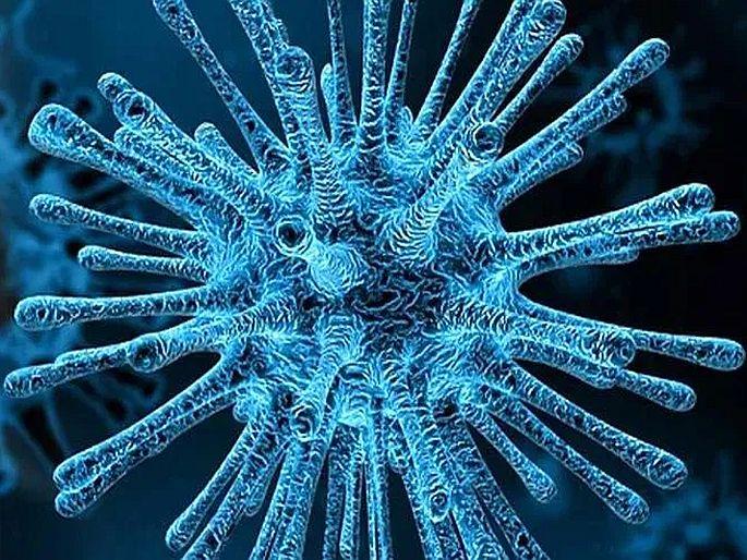 Death of first patient of ‘Kappa’ virus in Uttar Pradesh | उत्तर प्रदेशमध्ये ‘कप्पा’ विषाणूच्या पहिल्या रुग्णाचा मृत्यू; डेल्टा प्लसचाही फैलाव, वैद्यकीय यंत्रणा सतर्क Death of first patient of ‘Kappa’ virus in Uttar Pradesh | उत्तर प्रदेशमध्ये ‘कप्पा’ विषाणूच्या पहिल्या रुग्णाचा मृत्यू; डेल्टा प्लसचाही फैलाव, वैद्यकीय यंत्रणा सतर्क