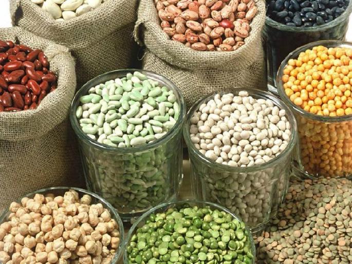 Purchase of Guarantee; The state sent a proposal to the Central Government | कडधान्याची हमीभावाने खरेदी, पणनमंत्र्यांची माहिती; राज्याने पाठवला केंद्र सरकारकडे प्रस्ताव Purchase of Guarantee; The state sent a proposal to the Central Government | कडधान्याची हमीभावाने खरेदी, पणनमंत्र्यांची माहिती; राज्याने पाठवला केंद्र सरकारकडे प्रस्ताव