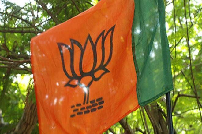BJP has majority in 11 places in Kalyan taluka, | कल्याण तालुक्यात ११ ठिकाणी भाजप बहुमतात, महाविकास आघाडीची ९ ठिकाणी बाजी BJP has majority in 11 places in Kalyan taluka, | कल्याण तालुक्यात ११ ठिकाणी भाजप बहुमतात, महाविकास आघाडीची ९ ठिकाणी बाजी