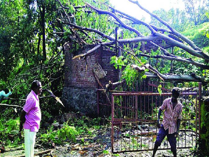 Seven villages are in dark overnight due to collapse of houses, dams, dams | वादळी पावसाचा महाडला तडाखा, वीर, दासगावमध्ये घरांचे नुकसान, विजेचे खांब कोसळल्याने सात गावे रात्रभर अंधारात Seven villages are in dark overnight due to collapse of houses, dams, dams | वादळी पावसाचा महाडला तडाखा, वीर, दासगावमध्ये घरांचे नुकसान, विजेचे खांब कोसळल्याने सात गावे रात्रभर अंधारात