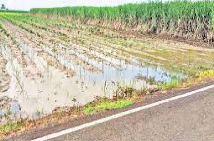 Look at the village my friend! | गावाकडं बघ माझ्या दोस्ता! Look at the village my friend! | गावाकडं बघ माझ्या दोस्ता!