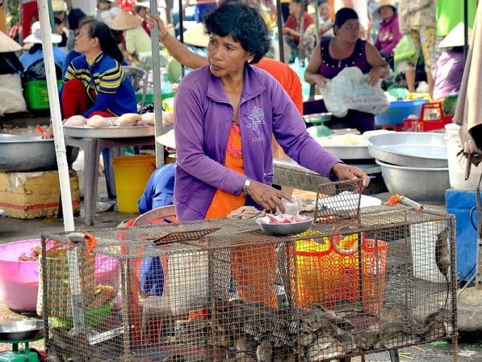 CoronaVirus Marathi News WHO experts agreed wuhan wet market played role in coronavirus pandemic sna | CoronaVirus News: अखेर WHOने मान्य केले! कोरोनाच्या प्रसारात वुहानची होती भूमिका, म्हणाले... CoronaVirus Marathi News WHO experts agreed wuhan wet market played role in coronavirus pandemic sna | CoronaVirus News: अखेर WHOने मान्य केले! कोरोनाच्या प्रसारात वुहानची होती भूमिका, म्हणाले...