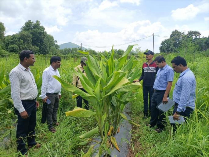 Officials of the district will now work in the fields for two months with the farmers | जिल्ह्यातील अधिकारी, पदाधिकारी आता शेतकऱ्यांसोबत दोन महिने राबणार शेतात! Officials of the district will now work in the fields for two months with the farmers | जिल्ह्यातील अधिकारी, पदाधिकारी आता शेतकऱ्यांसोबत दोन महिने राबणार शेतात!