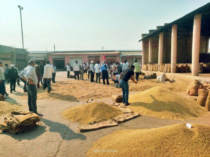 Highest price for soybeans from Vidarbha in Akola market committee; Big relief to farmers | अकोला बाजार समितीत सोयाबीनला विदर्भातून सर्वाधिक दर; शेतकऱ्यांना मोठा दिलासा Highest price for soybeans from Vidarbha in Akola market committee; Big relief to farmers | अकोला बाजार समितीत सोयाबीनला विदर्भातून सर्वाधिक दर; शेतकऱ्यांना मोठा दिलासा