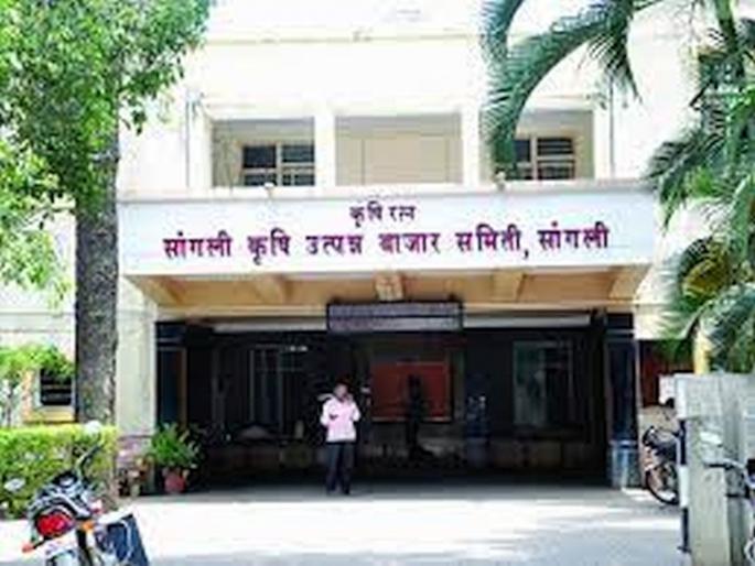 Now the names of Sujay Shinde, Sangram Patil, Babgonda Patil are being discussed for the post of Chairman in Sangli Bazar Committee | सांगली बाजार समितीत आता सभापती पदासाठी चुरस, सुजय शिंदे, संग्राम पाटील, बाबगोंडा पाटील यांची नावे चर्चेत Now the names of Sujay Shinde, Sangram Patil, Babgonda Patil are being discussed for the post of Chairman in Sangli Bazar Committee | सांगली बाजार समितीत आता सभापती पदासाठी चुरस, सुजय शिंदे, संग्राम पाटील, बाबगोंडा पाटील यांची नावे चर्चेत