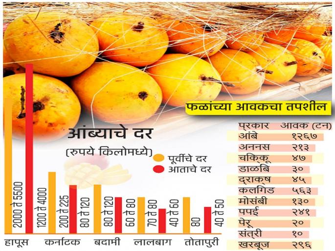 The King of Fruits in market; Arrival of 1,267 tons of mango | ‘फळांच्या राजा’चे राज्य सुरू; १,२६७ टन आंब्याची आवक : ५५ हजार पेट्यांचा समावेश The King of Fruits in market; Arrival of 1,267 tons of mango | ‘फळांच्या राजा’चे राज्य सुरू; १,२६७ टन आंब्याची आवक : ५५ हजार पेट्यांचा समावेश