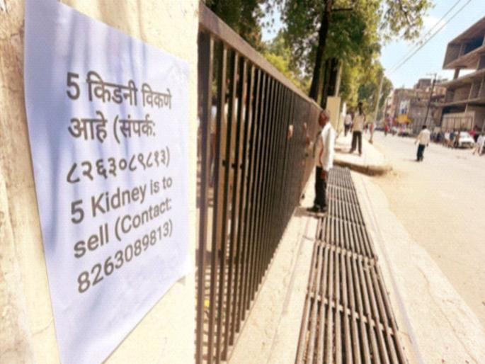 Lender's molestation Five kidney to sell | सावकाराचा जाच; पाच किडन्या विकणे आहे! Lender's molestation Five kidney to sell | सावकाराचा जाच; पाच किडन्या विकणे आहे!