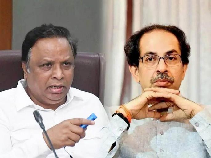 If you are getting stomach ache after seeing BJP's horse race Take a worm pill Ashish Shelar's attack on Uddhav Thackeray | "भाजपाची घोडदौड पाहून पोटदुखी होत असेल तर...; एक जंताची गोळी घ्या!" आशिष शेलार यांचं प्रत्युत्तर If you are getting stomach ache after seeing BJP's horse race Take a worm pill Ashish Shelar's attack on Uddhav Thackeray | "भाजपाची घोडदौड पाहून पोटदुखी होत असेल तर...; एक जंताची गोळी घ्या!" आशिष शेलार यांचं प्रत्युत्तर
