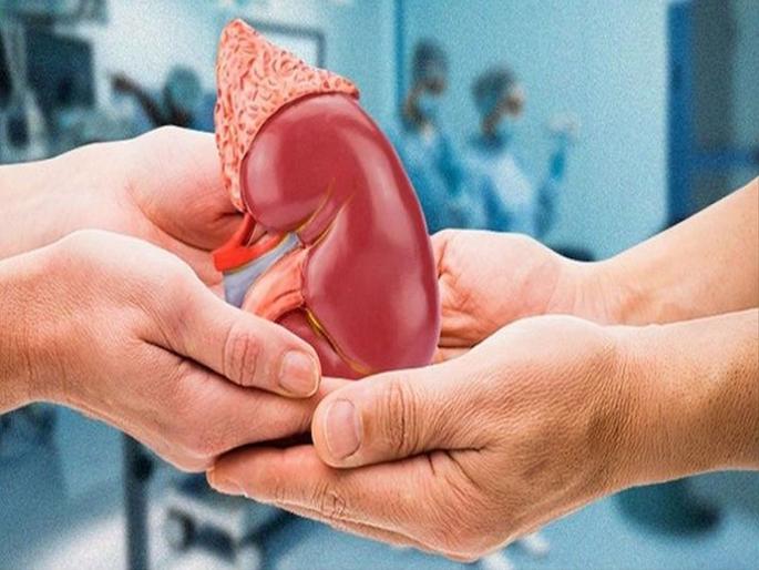 35th Kidney Transplant Successful in Super; A 51-year-old mother gave life to her 30-year-old son | सुपरमध्ये ३५ वी किडनी प्रत्यारोपण शस्त्रक्रिया यशस्वी; ५१ वर्षाच्या आईने ३० वर्षीय मुलाला दिले जीवनदान 35th Kidney Transplant Successful in Super; A 51-year-old mother gave life to her 30-year-old son | सुपरमध्ये ३५ वी किडनी प्रत्यारोपण शस्त्रक्रिया यशस्वी; ५१ वर्षाच्या आईने ३० वर्षीय मुलाला दिले जीवनदान