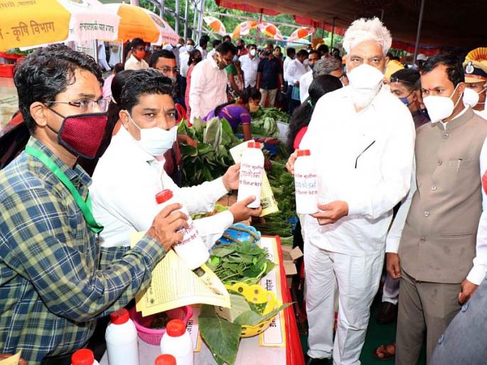 The market will be made available for medicinal Vegetables says guardian minister dada bhuse | औषधी गुणधर्म असलेल्या रानभाज्यांना बाजारपेठ उपलब्ध करून देणार - पालकमंत्री दादाजी भूसे The market will be made available for medicinal Vegetables says guardian minister dada bhuse | औषधी गुणधर्म असलेल्या रानभाज्यांना बाजारपेठ उपलब्ध करून देणार - पालकमंत्री दादाजी भूसे