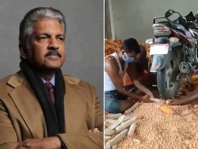 Businessman anand mahindra shares video of indian jugaad for corn goes viral | जुगाड: दुचाकीच्या चाकाने निघत आहेत मकाचे दाणे, आनंद महिंद्राही झाले चकित; व्हिडिओ शेअर करत म्हणाले... Businessman anand mahindra shares video of indian jugaad for corn goes viral | जुगाड: दुचाकीच्या चाकाने निघत आहेत मकाचे दाणे, आनंद महिंद्राही झाले चकित; व्हिडिओ शेअर करत म्हणाले...