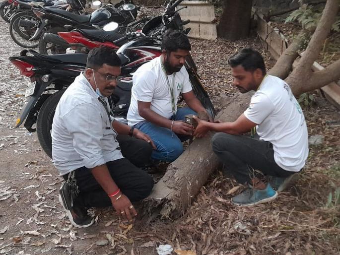 Equipped with 9 trap cameras to record leopard movements | ठाण्यातील पोखरण, भीमनगर परिसरात बिबट्याची दहशत, हालचाली टिपण्यासाठी ९ ट्रॅप कॅमेरे सज्ज Equipped with 9 trap cameras to record leopard movements | ठाण्यातील पोखरण, भीमनगर परिसरात बिबट्याची दहशत, हालचाली टिपण्यासाठी ९ ट्रॅप कॅमेरे सज्ज