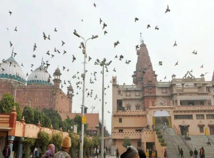 mathura shrikrishna janambhoomi mathura civil court will hear case on 30th to shift shahi Eidgah  | ShriKrishna JanamBhoomi: श्रीकृष्ण जन्मभूमीप्रकरणी 30 तारखेला सुनावणी, शाही ईदगाह हटविण्याची मागणी mathura shrikrishna janambhoomi mathura civil court will hear case on 30th to shift shahi Eidgah  | ShriKrishna JanamBhoomi: श्रीकृष्ण जन्मभूमीप्रकरणी 30 तारखेला सुनावणी, शाही ईदगाह हटविण्याची मागणी