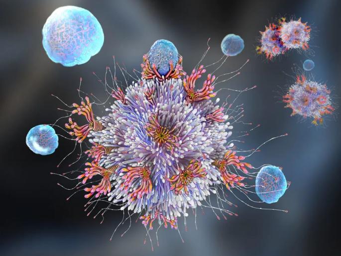 Dubai, UK news Corona strain found in Nashik | नाशिकमध्ये आढळला दुबई, ब्रिटनमधील कोरोना स्ट्रेन; विदर्भात दिवसभरात विक्रमी ६,६९६ रुग्ण Dubai, UK news Corona strain found in Nashik | नाशिकमध्ये आढळला दुबई, ब्रिटनमधील कोरोना स्ट्रेन; विदर्भात दिवसभरात विक्रमी ६,६९६ रुग्ण