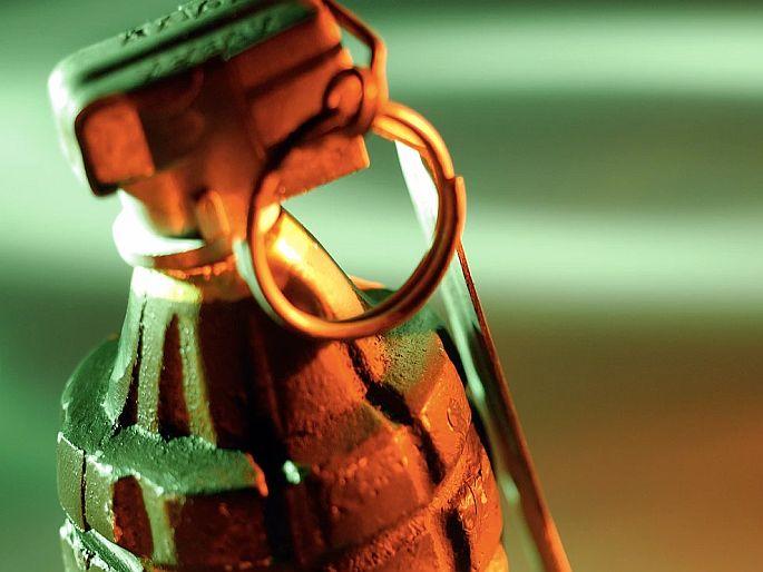 Germany Police got sex toy after people reports for grenade | बेवारस पडलेल्या सेक्स टॉयला लोक समजले ग्रेनेड बॉम्ब, उडाली खळबल; अन्...