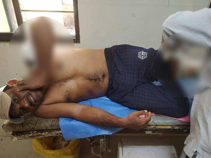 attack of three bears on tendu leaves collectors, incident in Khairi Bortekari forest | तेंदूपत्ता संकलनासाठी गेलेल्या मजुरांवर तीन अस्वलांचा हल्ला, खैरी बोरटेकरी जंगलातील घटना attack of three bears on tendu leaves collectors, incident in Khairi Bortekari forest | तेंदूपत्ता संकलनासाठी गेलेल्या मजुरांवर तीन अस्वलांचा हल्ला, खैरी बोरटेकरी जंगलातील घटना