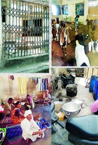 What is going on in closure municipal school in Nagpur? | नागपुरातील महापालिकेच्या बंद शाळेत सुरू काय?