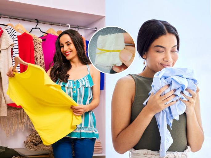 how to remove musty smell from cupboard naturally sachet to keep clothes fresh in wardrobe home remedies for smelly cupboard | कपाटातून कपड्यांचा कुबट वास येतो? महागडे लिक्विड नको- इवलुशी पोटली करेल कमाल- दुर्गंधी होईल कमी