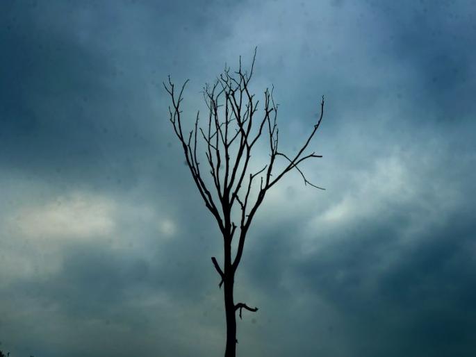 Maximum temperature 30.5: Datal Cloud throughout the day | कमाल तपमान ३०.५ : नाशकात दिवसभर दाटले ढग