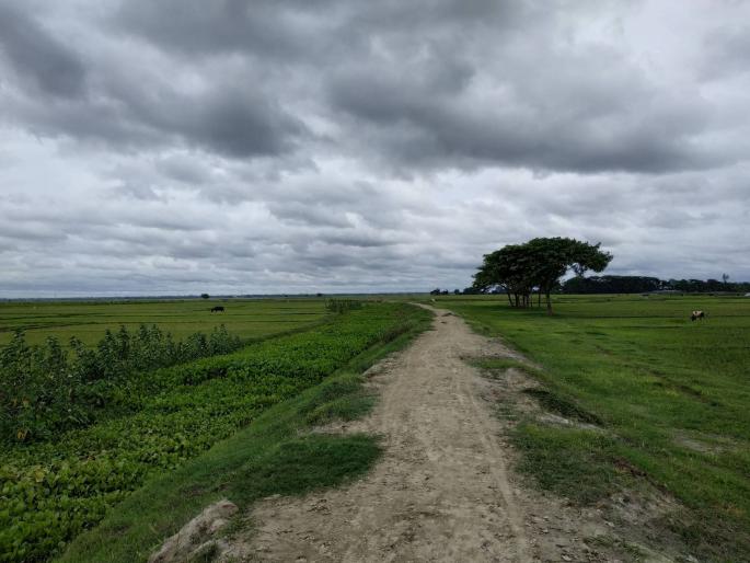 Warning to four districts including Nagpur: Chance of heavy rain and hail | नागपूरसह चार जिल्ह्यांना सतर्कतेचा इशारा : वादळी पाऊस, गारपिटीची शक्यता Warning to four districts including Nagpur: Chance of heavy rain and hail | नागपूरसह चार जिल्ह्यांना सतर्कतेचा इशारा : वादळी पाऊस, गारपिटीची शक्यता