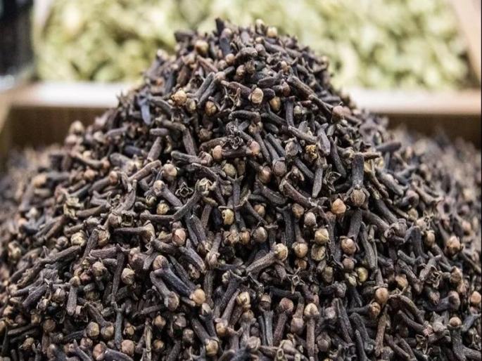 Clove tree was grown on the island of Ternate Indonesia for the first time in the world | जगात पहिल्यांदा इथे उगवलं होतं लवंगाचं झाड, ३ हजार वर्ष जुना आहे इतिहास Clove tree was grown on the island of Ternate Indonesia for the first time in the world | जगात पहिल्यांदा इथे उगवलं होतं लवंगाचं झाड, ३ हजार वर्ष जुना आहे इतिहास
