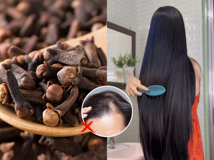 how to use clove for faster hair growth natural clove remedy for dry and rough hair clove treatment for dandruff and hair fall | लवंग केसांसाठी संजीवनी! कोरड्या-रुक्ष केसांना 'या' पद्धतीने लावा- महिन्याभरात दिसेल फरक