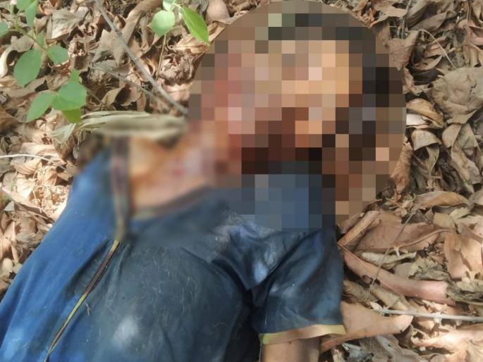 A woman who went to collect tendu leaves died in a tiger attack, the second incident of the day in Chandrapur | चंद्रपूर: तेंदूपत्ता संकलनासाठी गेलेल्या महिलेचा वाघाच्या हल्ल्यात मृत्यू, दिवसभरातील दुसरी घटना