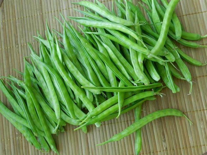 Health benefits of gwarfali or cluster beans or Gavarichi bhaji in marathi | 'हे' फायदे वाचून गवारीची नावडती भाजी आवडती कराल!