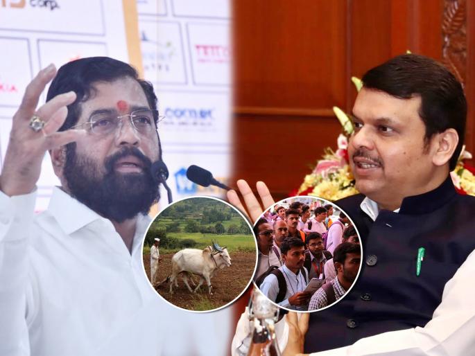 Compensation to farmers and 75 thousand jobs; Important decisions in the Maharashtra CM Eknath Shinde cabinet | शेतकऱ्यांना नुकसान भरपाई अन् ७५ हजार नोकरभरती; मंत्रिमंडळात महत्त्वाचे निर्णय Compensation to farmers and 75 thousand jobs; Important decisions in the Maharashtra CM Eknath Shinde cabinet | शेतकऱ्यांना नुकसान भरपाई अन् ७५ हजार नोकरभरती; मंत्रिमंडळात महत्त्वाचे निर्णय