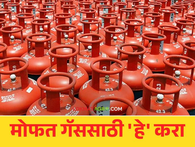 CM Annapurna Yojana : Women will now get the benefit of three free gas cylinders; You have to apply for that | CM Annapurna Yojana : महिलांना मिळणार आता तीन मोफत गॅस सिलिंडरचा लाभ; त्यासाठी करावा लागणार अर्ज CM Annapurna Yojana : Women will now get the benefit of three free gas cylinders; You have to apply for that | CM Annapurna Yojana : महिलांना मिळणार आता तीन मोफत गॅस सिलिंडरचा लाभ; त्यासाठी करावा लागणार अर्ज