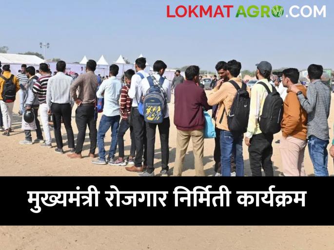 Latest News Chief Minister's employment creation program for youth to start their own business | तरुणांनो स्वतःच व्यवसाय सुरु करायचा आहे? ही योजना तुमच्यासाठी  Latest News Chief Minister's employment creation program for youth to start their own business | तरुणांनो स्वतःच व्यवसाय सुरु करायचा आहे? ही योजना तुमच्यासाठी