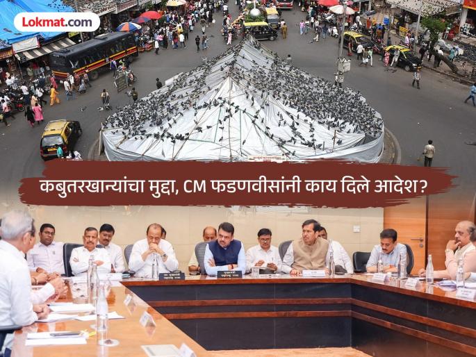 The way for pigeons to get food is open; CM Fadnavis' important decision regarding pigeon houses | कबुतरांना खाद्य मिळण्याचा मार्ग मोकळा; कबुतरखान्यांबद्दल CM फडणवीसांचा महत्त्वाचा निर्णय