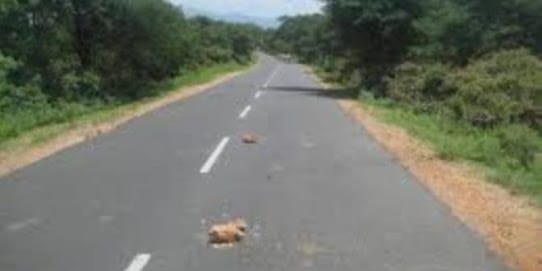 Chief Minister Gram Sadak Yojana work pending in Washim district! | वाशिम जिल्ह्यात मुख्यमंत्री ग्रामसडक योजना सापडली वांध्यात!