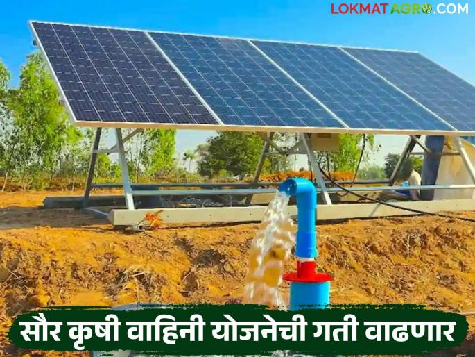 The work of the Chief Minister's Solar Agriculture Channel Scheme will be accelerated due to this warning from the Energy Department. | ऊर्जा विभागाच्या 'या' इशाऱ्यामुळे मुख्यमंत्री सौर कृषी वाहिनी योजनेचे काम होणार जलद The work of the Chief Minister's Solar Agriculture Channel Scheme will be accelerated due to this warning from the Energy Department. | ऊर्जा विभागाच्या 'या' इशाऱ्यामुळे मुख्यमंत्री सौर कृषी वाहिनी योजनेचे काम होणार जलद