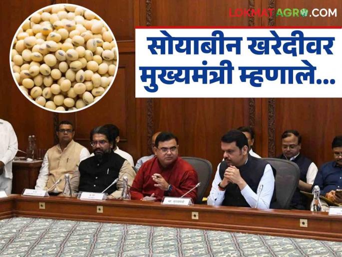 Latest News Soyabean kharedi Chief Minister Fadnavis say on issue of soybean buying Read in detail | Soyabean kharedi : सोयाबीन खरेदीच्या प्रश्नावर मुख्यमंत्री फडणवीस काय म्हणाले? वाचा सविस्तर  Latest News Soyabean kharedi Chief Minister Fadnavis say on issue of soybean buying Read in detail | Soyabean kharedi : सोयाबीन खरेदीच्या प्रश्नावर मुख्यमंत्री फडणवीस काय म्हणाले? वाचा सविस्तर