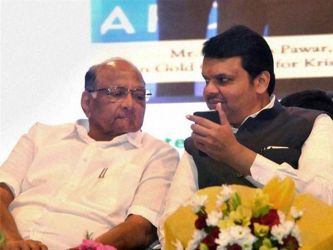 Maharashtra Vidhan Sabha Result cm fadnavis hits out at sharad pawar over wrestler comment | महाराष्ट्र निवडणूक 2019: निवडणूक निकालानंतर मुख्यमंत्र्यांचा कुस्तीवरून पवारांना टोला; म्हणाले... Maharashtra Vidhan Sabha Result cm fadnavis hits out at sharad pawar over wrestler comment | महाराष्ट्र निवडणूक 2019: निवडणूक निकालानंतर मुख्यमंत्र्यांचा कुस्तीवरून पवारांना टोला; म्हणाले...