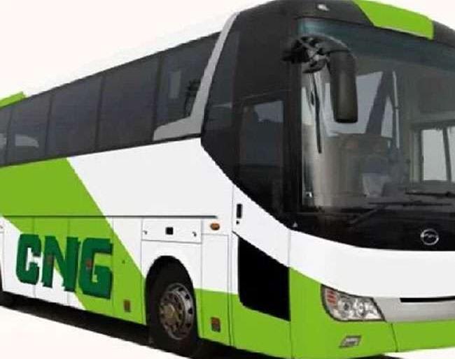 CNG bus in Apali buses troupe at Nagpur | नागपुरात आपली बसच्या ताफ्यात सीएनजी बस